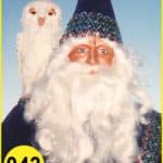 Wizard with White Owl