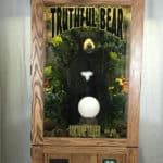 Truthful Bear Fortune Telling Machine