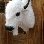 White Buffalo Wall Mount