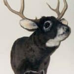 Small Deer Wall Mount