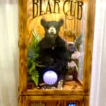 Bear Cub Fortune Teller Fortune Telling Machine