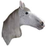 White Horse Wall Mount