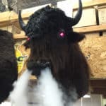 Smoking Buffalo with Lighted Eyes Wall Mount