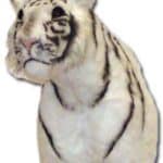 White Tiger Wall Mount