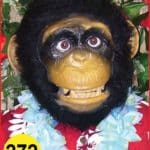 Chimp Money Head or Face #272
