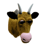Cow Front
