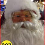 Santa Claus Male Head or Face #307