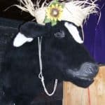 Lady Cow Wall Mount