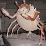 Crab