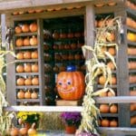 Talking Pumpkin in Pumpkin Patch Display