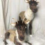 Baby Caribou