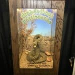 Diamondback Rattlesnake Machine