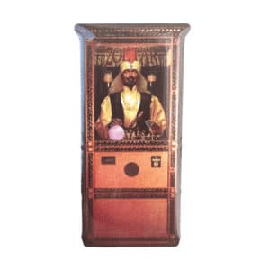 Zoltar Machine Pin