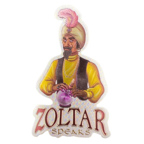 Zoltar Wisdom Magnet