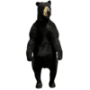 Standing Bear