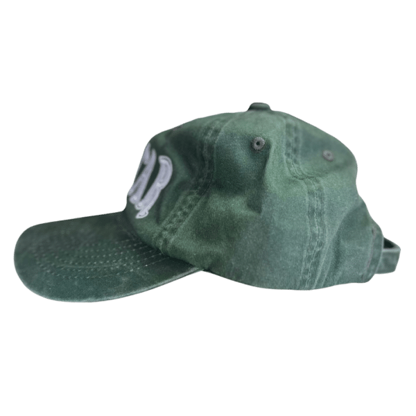 Zoltar Dad Hat Green Side 1