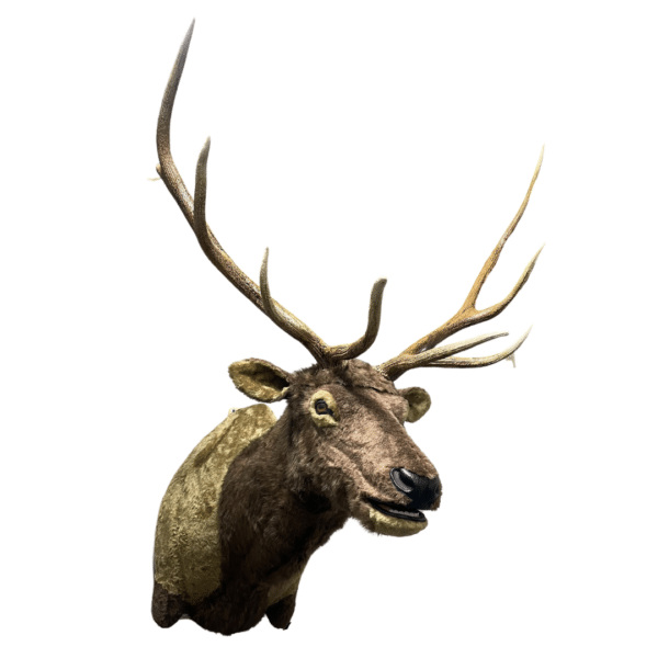 Elk Wall Mount